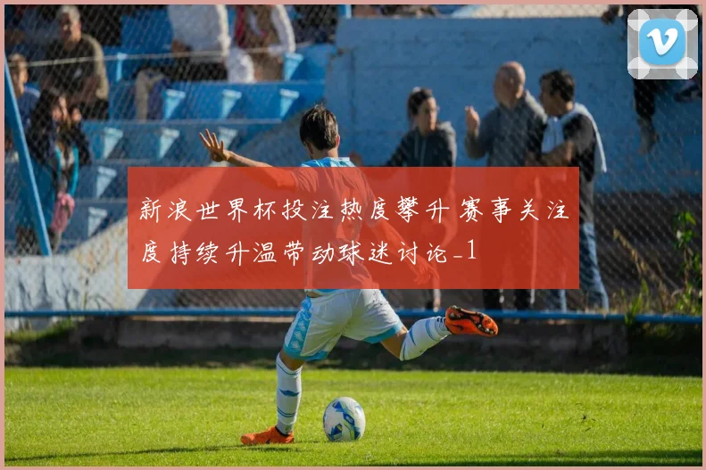 新浪世界杯投注热度攀升 赛事关注度持续升温带动球迷讨论_1