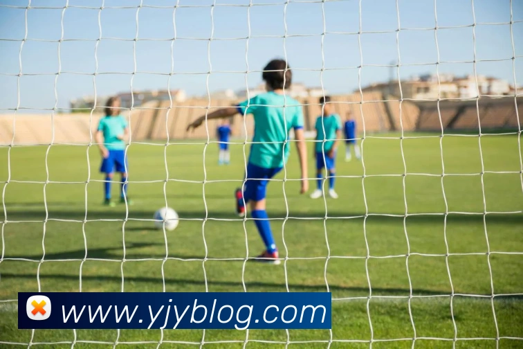 世界杯app官网服务体系